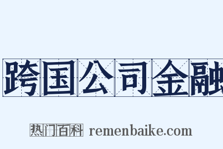 跨国公司金融是什么意思的图片